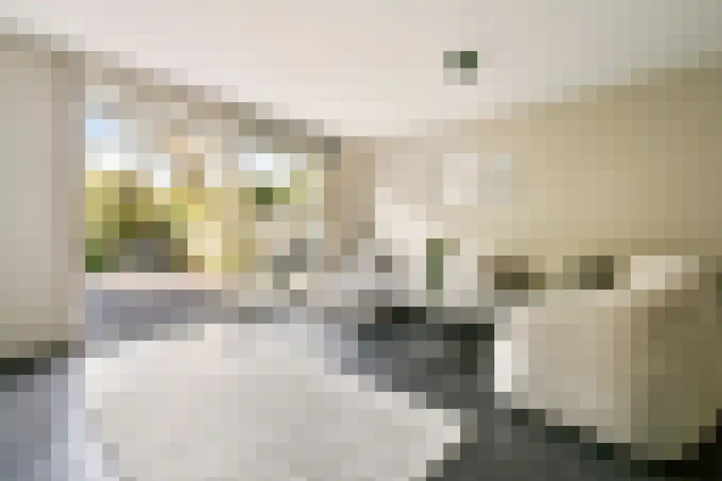 Jagerskreek 39 Spijkenisse thumbnail 9
