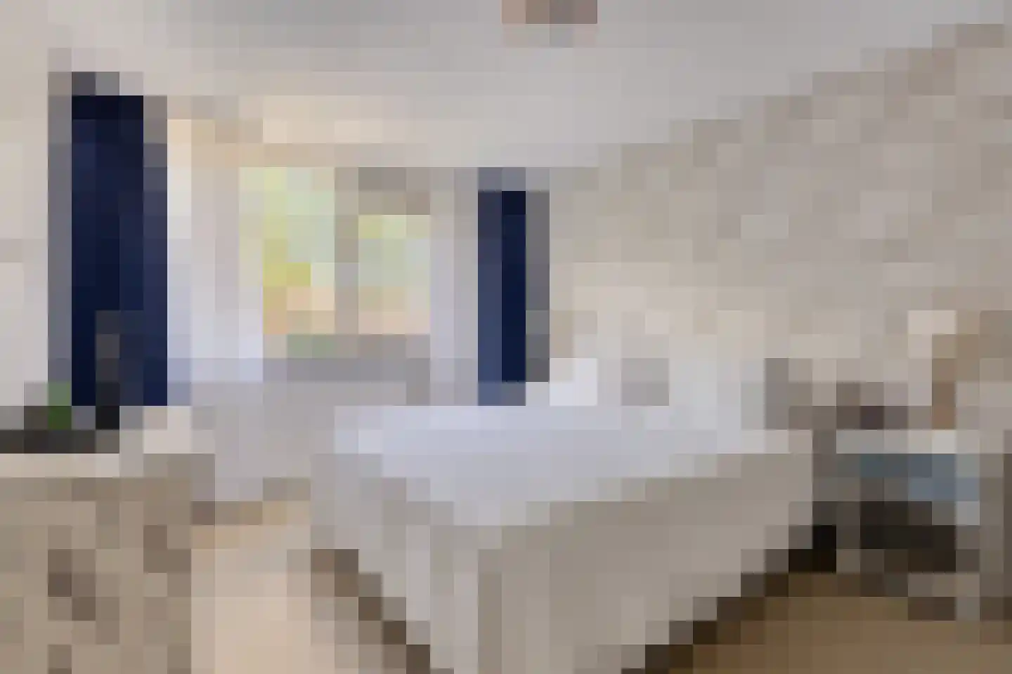 Jagerskreek 49 Spijkenisse thumbnail 12