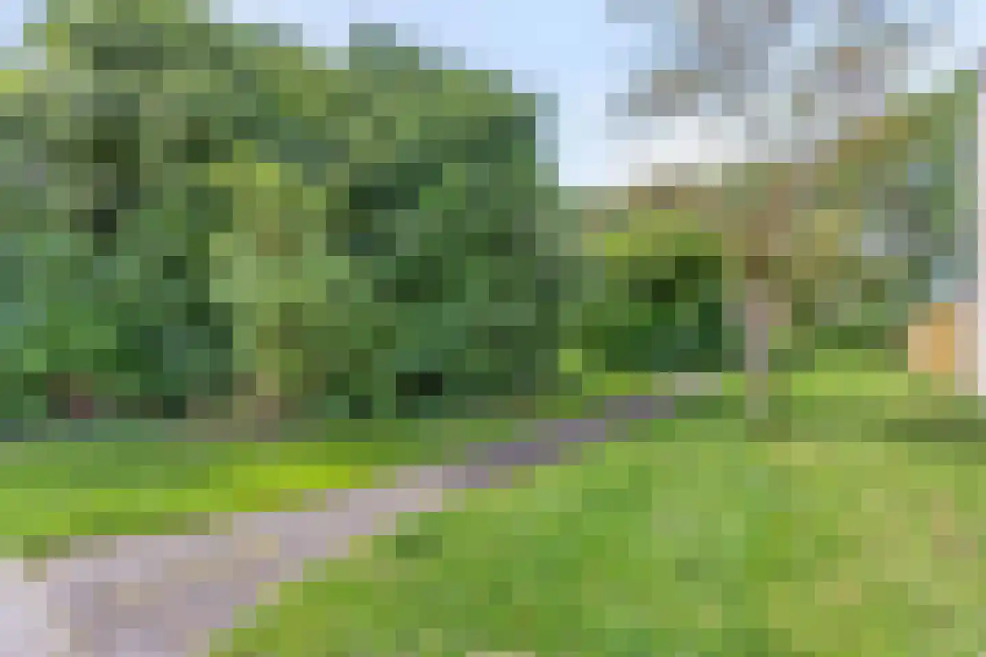 Jagerskreek 49 Spijkenisse thumbnail 29