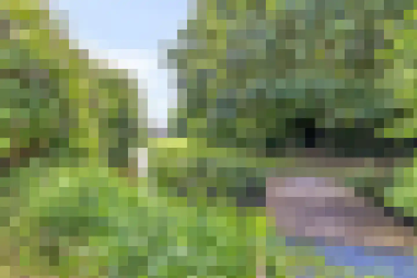 Jagerskreek 49 Spijkenisse thumbnail 30