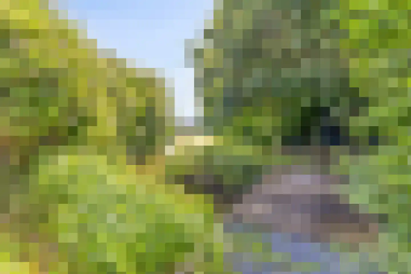 Jagerskreek 49 Spijkenisse thumbnail 31