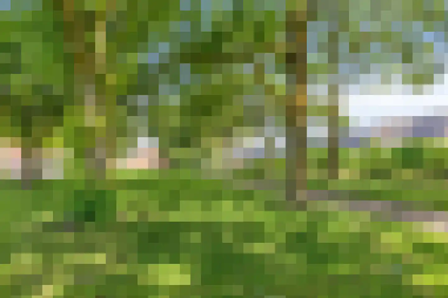 Jagerskreek 49 Spijkenisse thumbnail 33