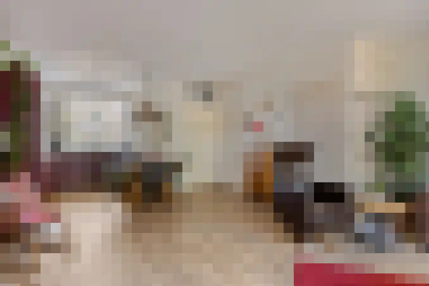 Jagerskreek 49 Spijkenisse thumbnail 8