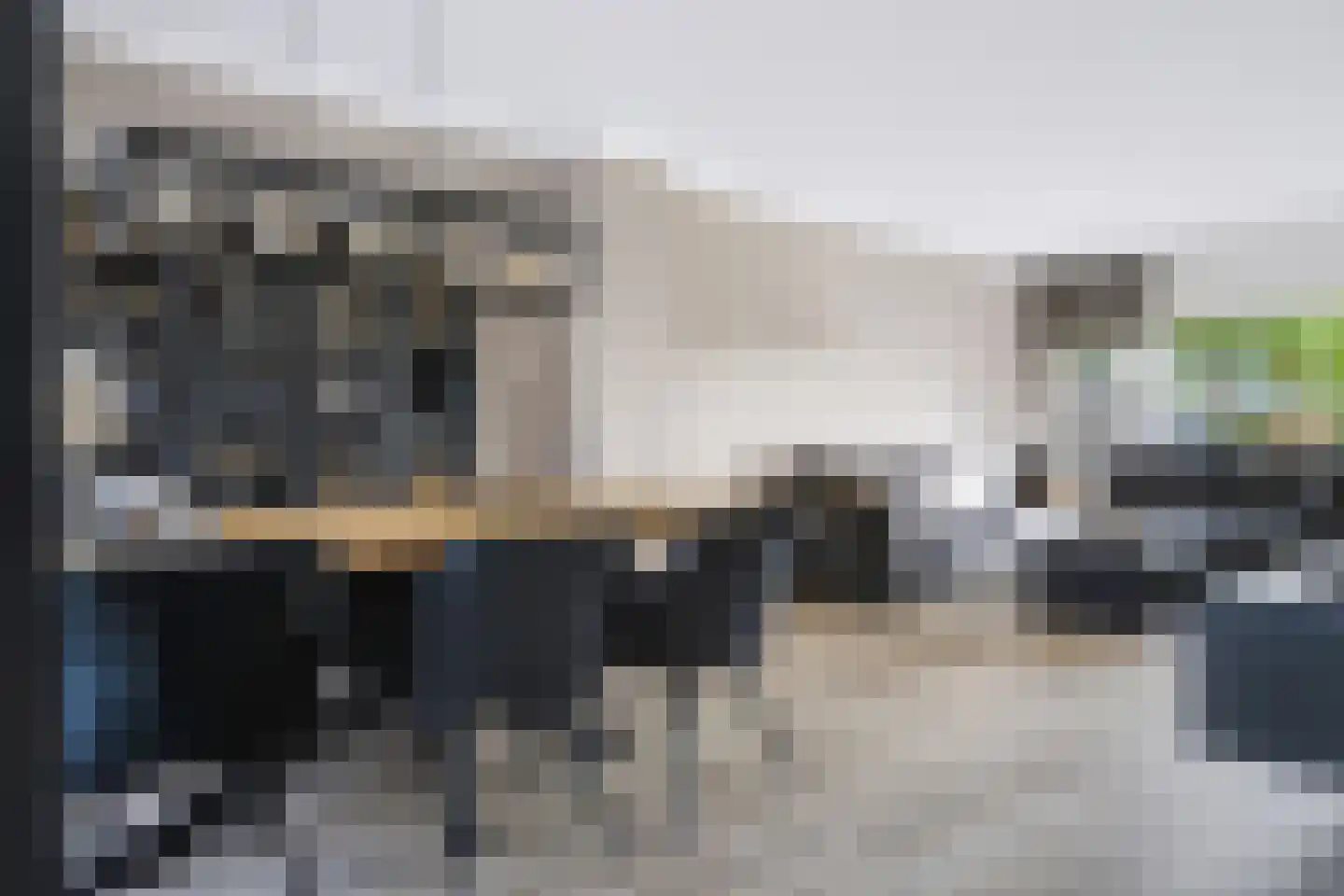 Jagerslaan 111 Nieuw-Amsterdam thumbnail 18