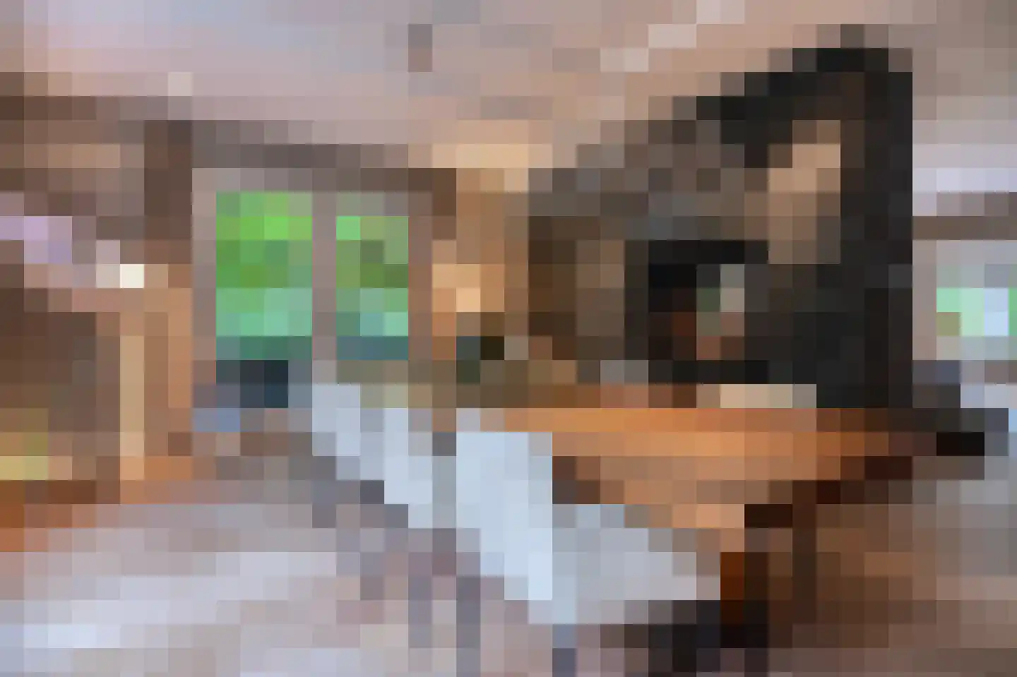 Jagerslaan 2 Doorwerth thumbnail 16