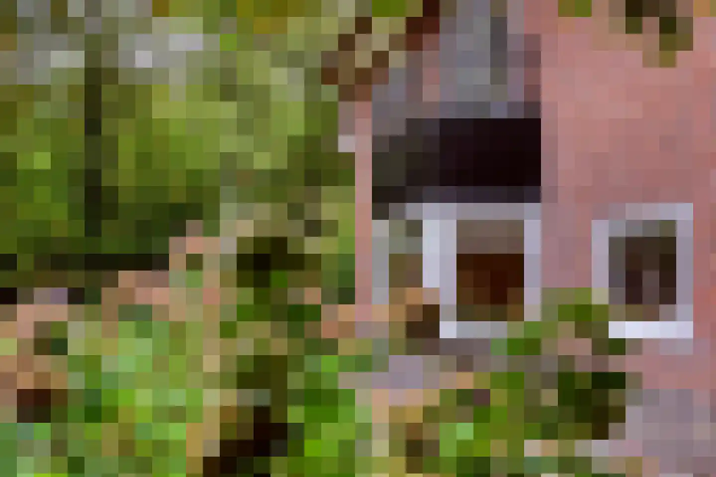 Jagerslaan 2 Doorwerth thumbnail 54