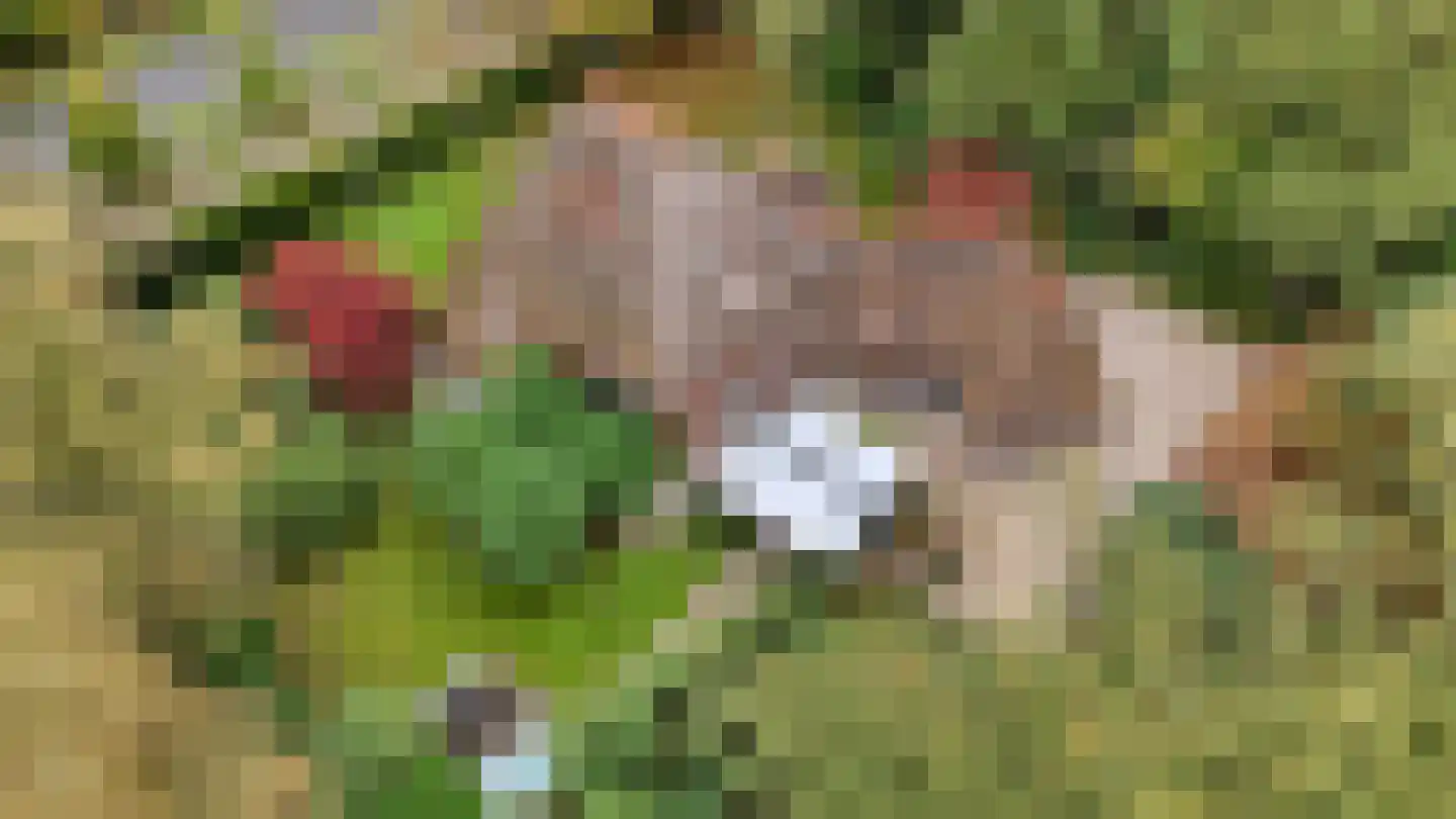 Jagerslaan 2 Doorwerth thumbnail 64