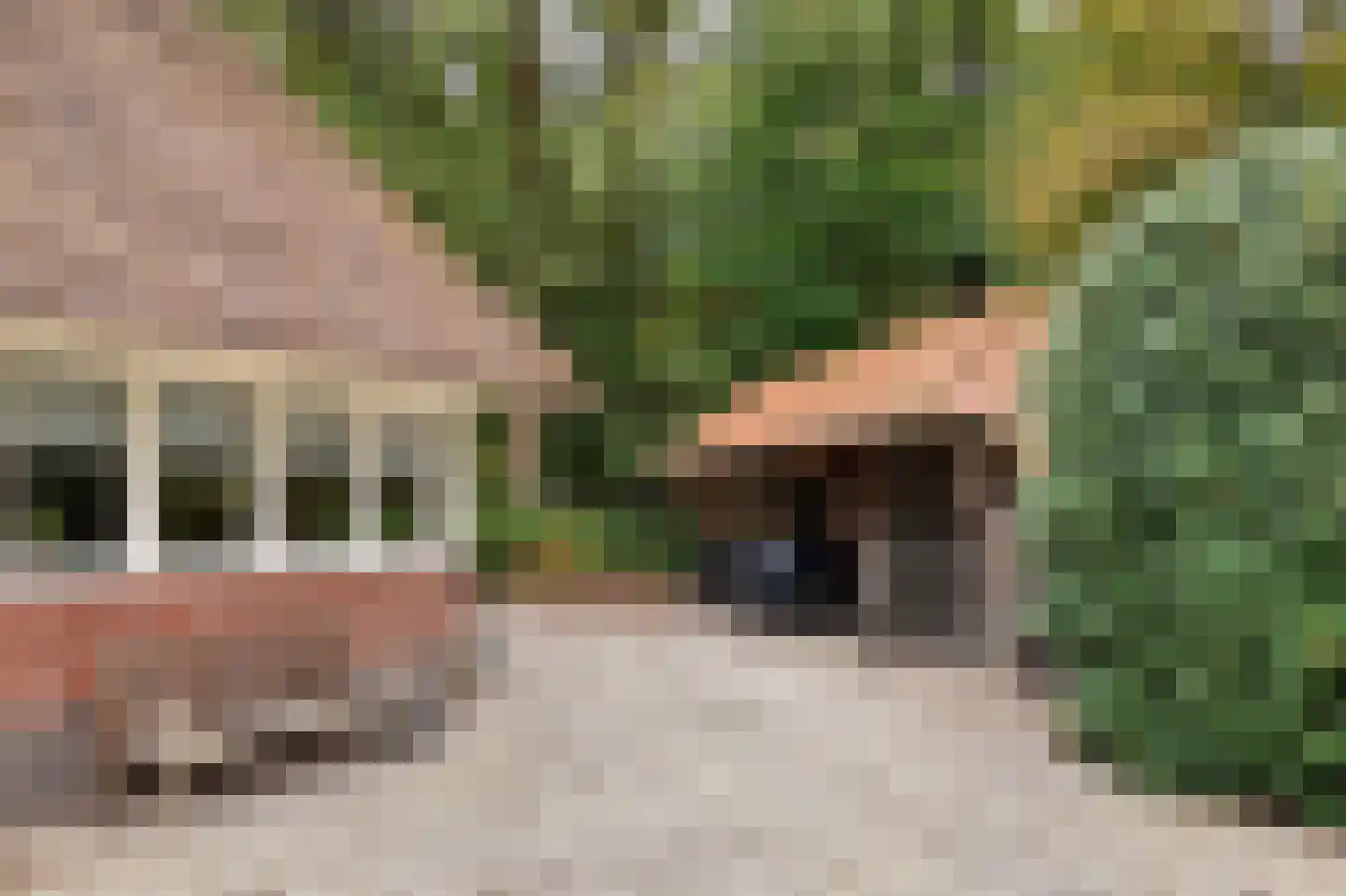 Jagerslaan 2 Doorwerth thumbnail 8