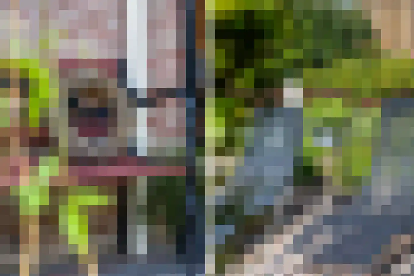 Jagerslaan 34 Luttenberg foto 3