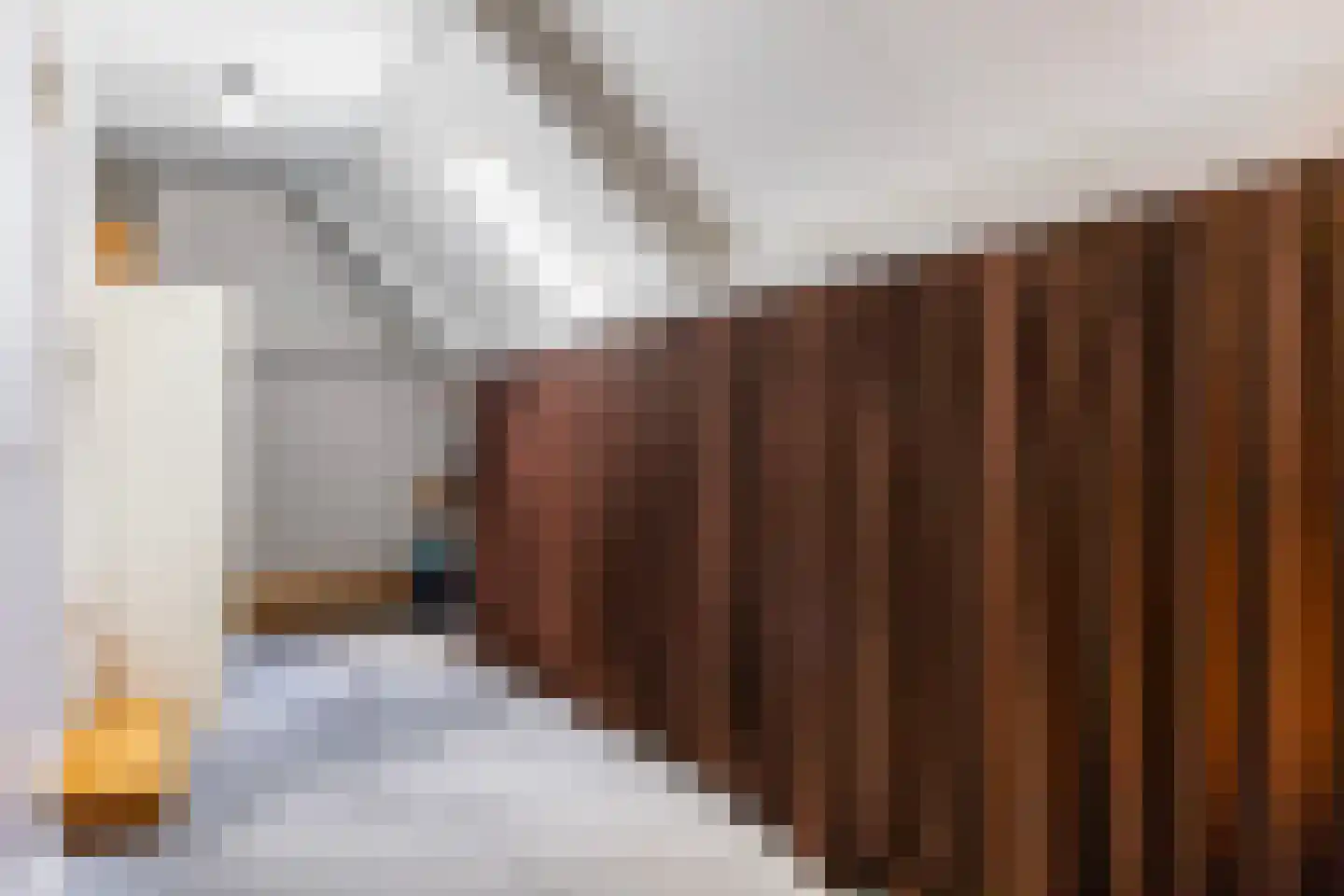 Jagerslaan 34 Luttenberg thumbnail 30