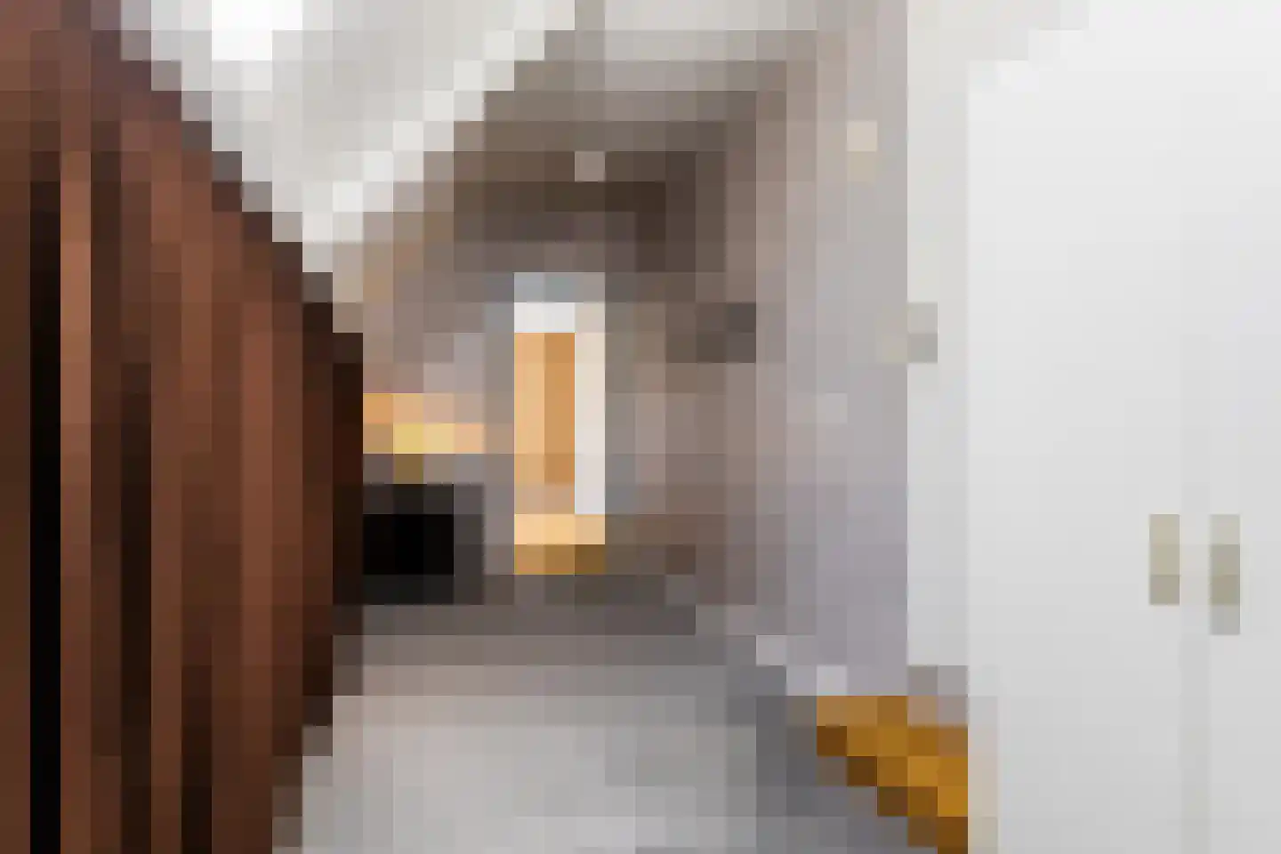 Jagerslaan 34 Luttenberg thumbnail 30