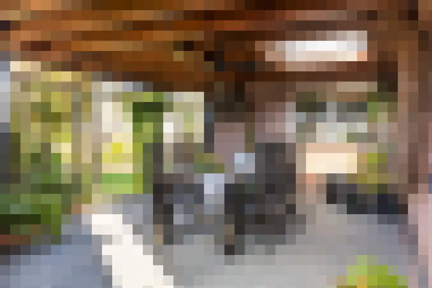 Jagerslaan 34 Luttenberg thumbnail 39
