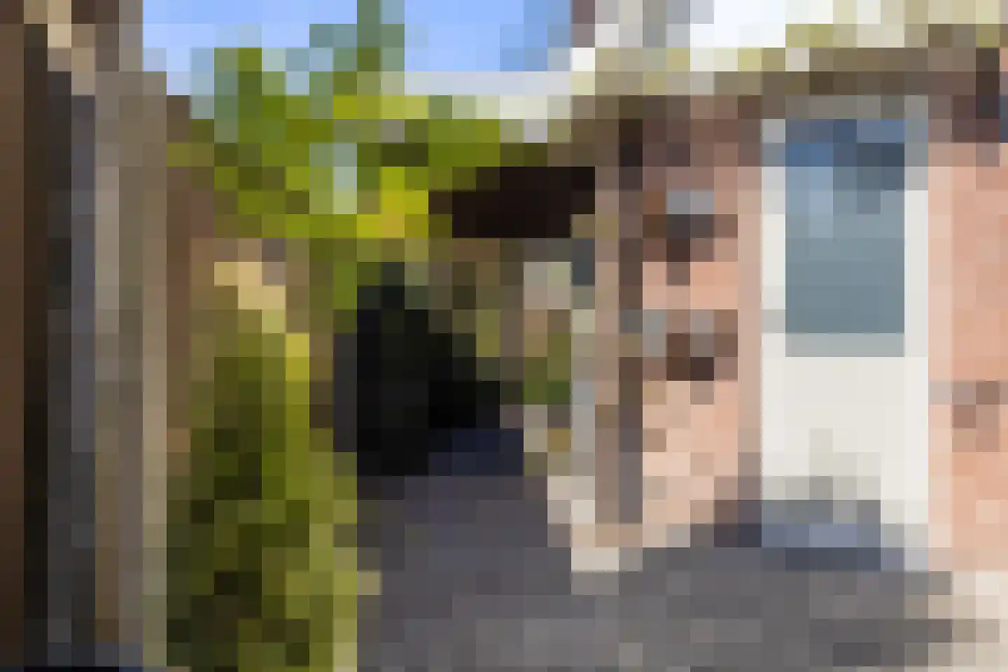 Jagerslaan 34 Luttenberg thumbnail 48