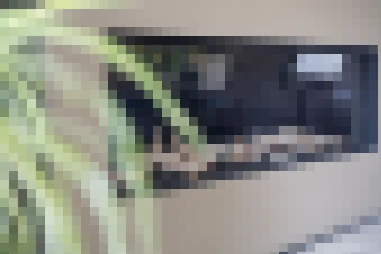 Jagerslaan 34 Luttenberg thumbnail 8