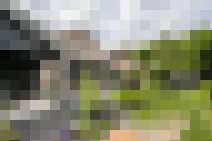 Jagerslaan 36 Gorinchem thumbnail 33