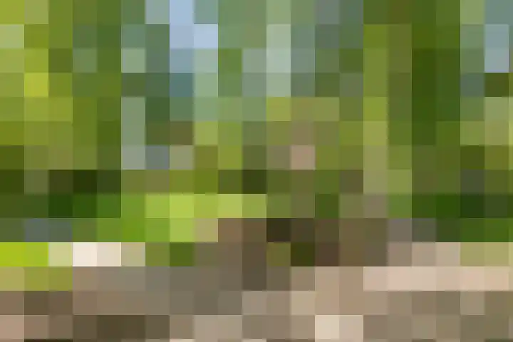 Jagerslaan 38 Zuidlaren thumbnail 12
