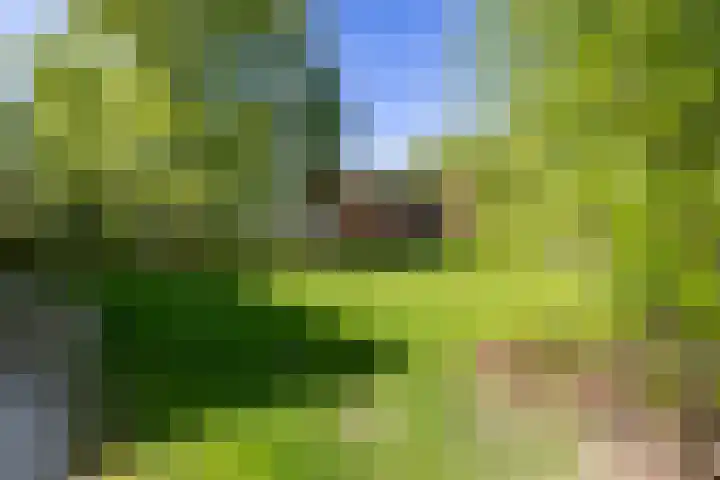Jagerslaan 38 Zuidlaren thumbnail 13