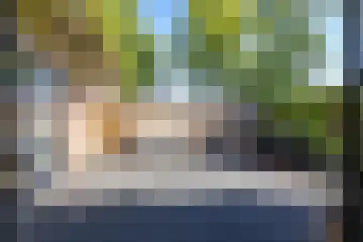 Jagerslaan 38 Zuidlaren thumbnail 23