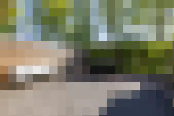 Jagerslaan 38 Zuidlaren thumbnail 24