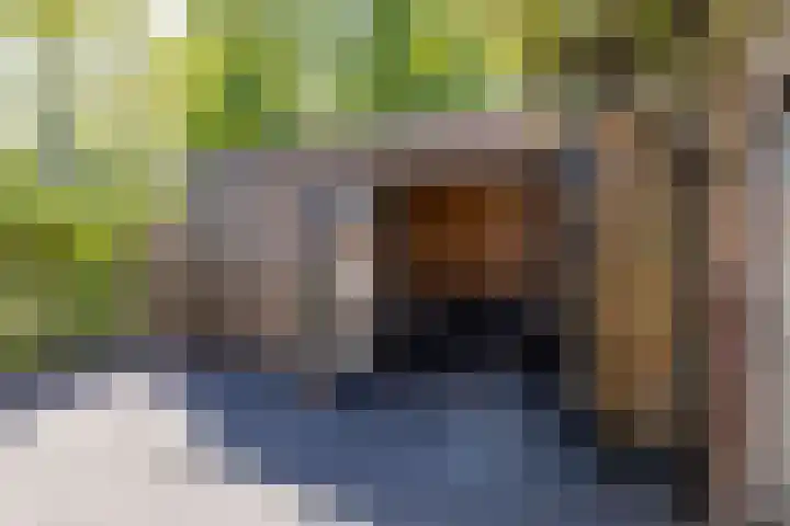 Jagerslaan 38 Zuidlaren thumbnail 27