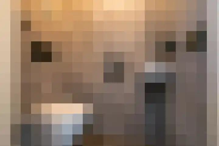 Jagerslaan 38 Zuidlaren thumbnail 32