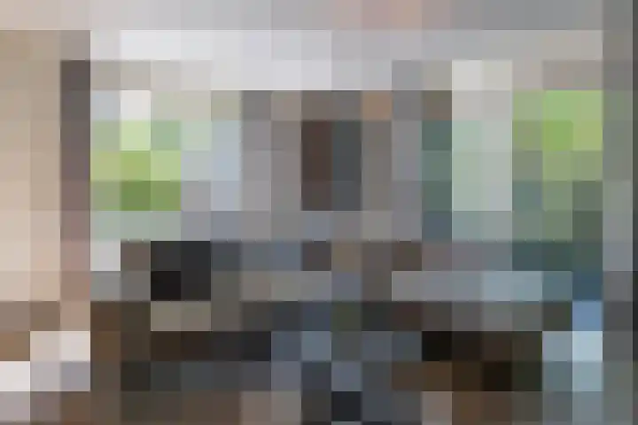 Jagerslaan 38 Zuidlaren thumbnail 36