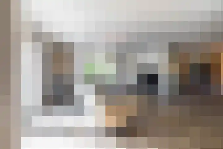 Jagerslaan 38 Zuidlaren thumbnail 37