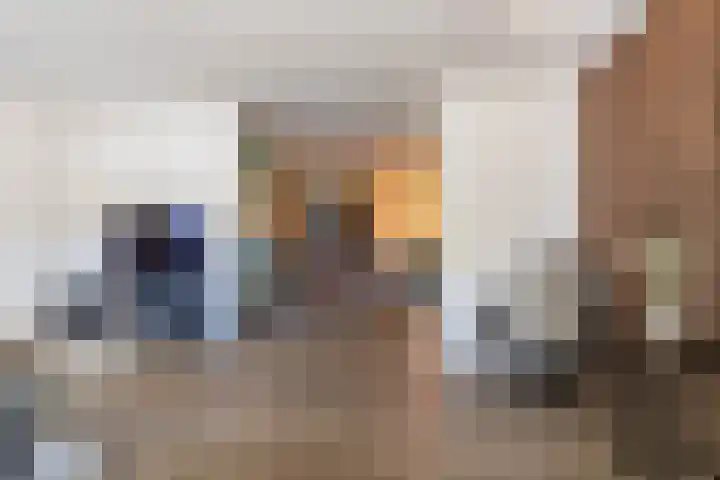 Jagerslaan 38 Zuidlaren thumbnail 40