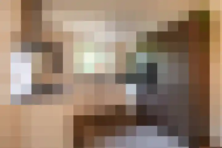 Jagerslaan 38 Zuidlaren thumbnail 44