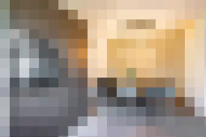 Jagerslaan 38 Zuidlaren thumbnail 48