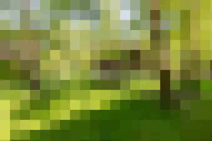 Jagerslaan 38 Zuidlaren thumbnail 6