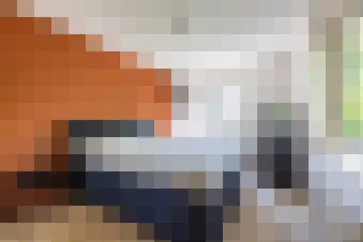 Jagerslaan 38 Zuidlaren thumbnail 60