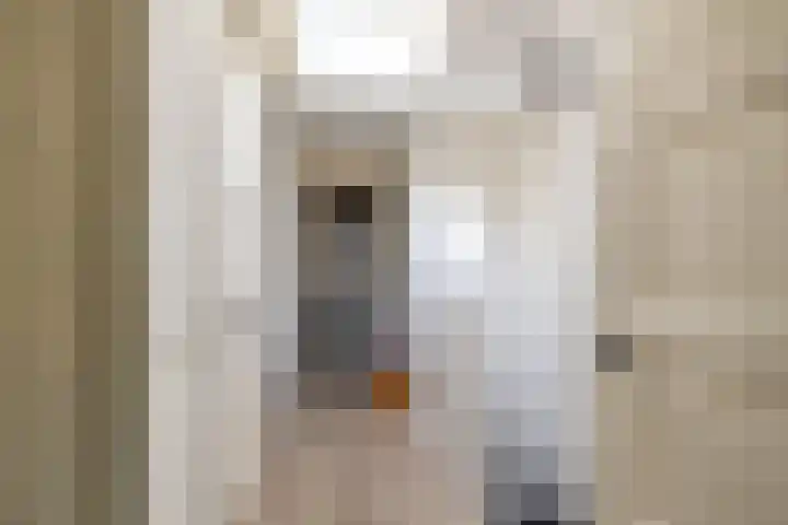 Jagerslaan 38 Zuidlaren thumbnail 63