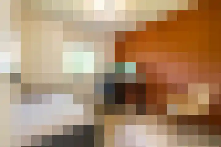 Jagerslaan 38 Zuidlaren thumbnail 64
