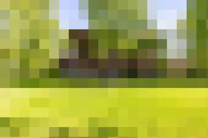 Jagerslaan 38 Zuidlaren thumbnail 8