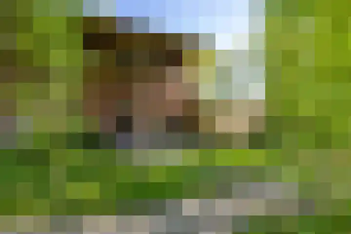 Jagerslaan 38 Zuidlaren thumbnail 9