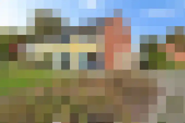 Jagerslaan 57 Nieuw-Amsterdam thumbnail 17