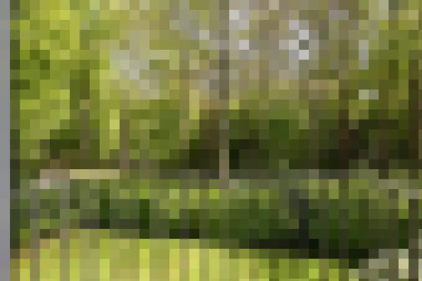Jagerslaan (zuid) 11 Wassenaar thumbnail 27