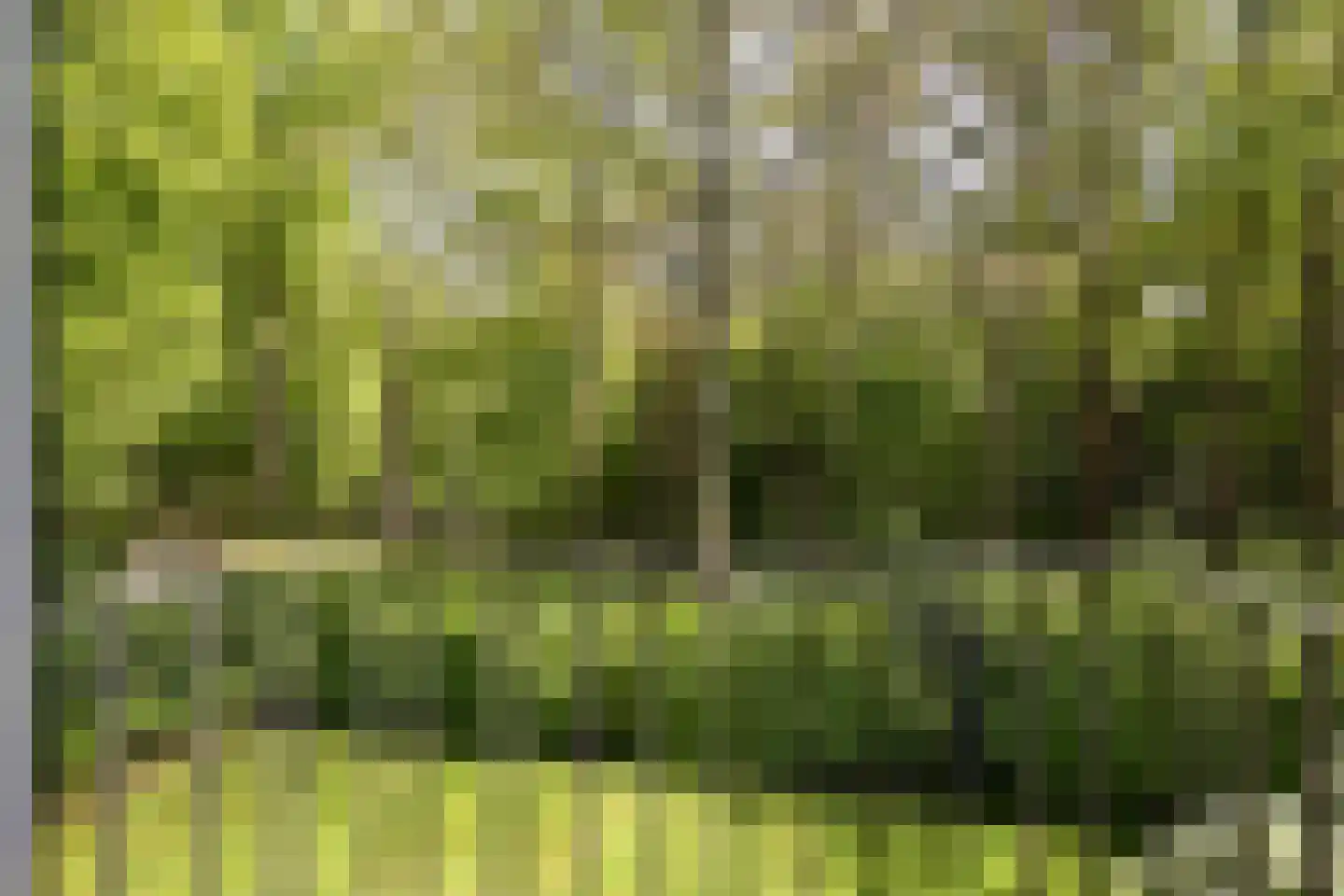 Jagerslaan (zuid) 11 Wassenaar thumbnail 27