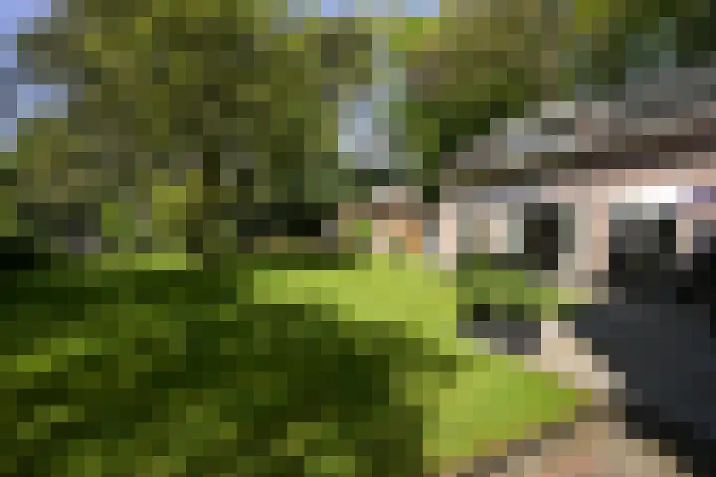 Jagerslaan (zuid) 11 Wassenaar thumbnail 41