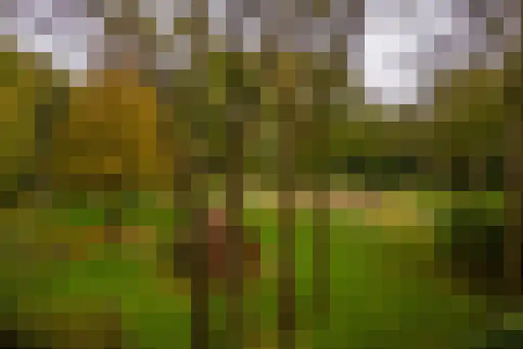 Jagerslaan (zuid) 2 Wassenaar thumbnail 10