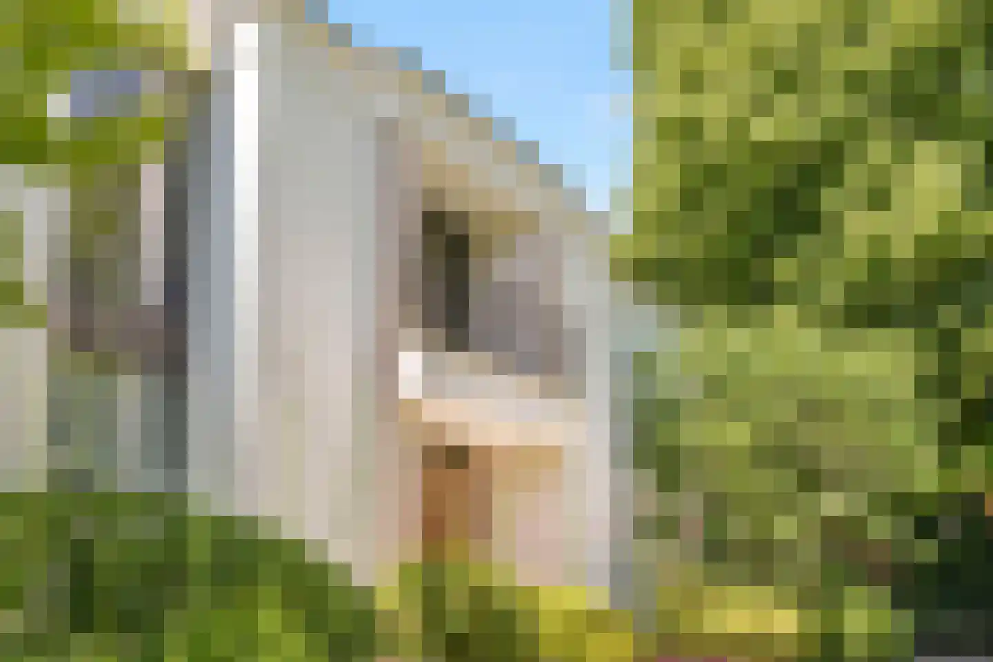 Jagerslaan (zuid) 5 Wassenaar thumbnail 12