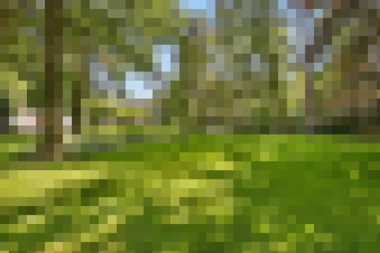 Jagerslaan (zuid) 5 Wassenaar thumbnail 15