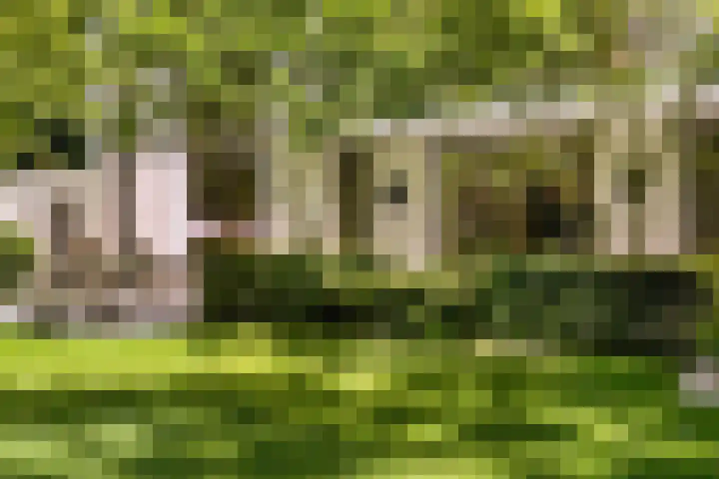 Jagerslaan (zuid) 5 Wassenaar thumbnail 17