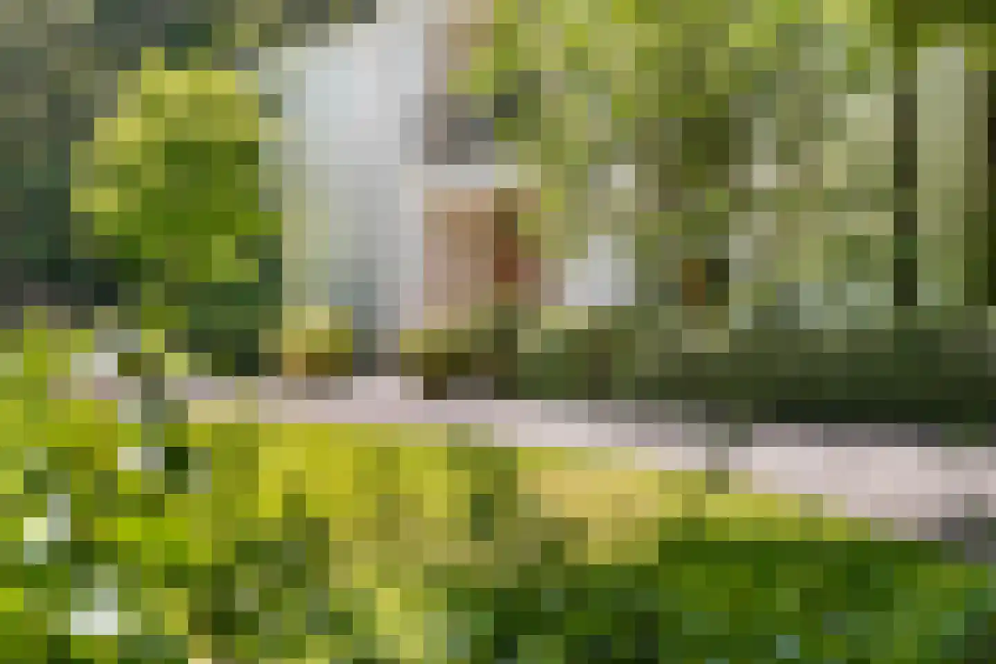 Jagerslaan (zuid) 5 Wassenaar thumbnail 24