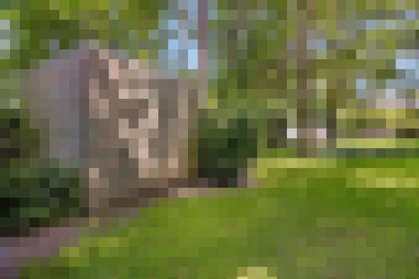 Jagerslaan (zuid) 5 Wassenaar thumbnail 41