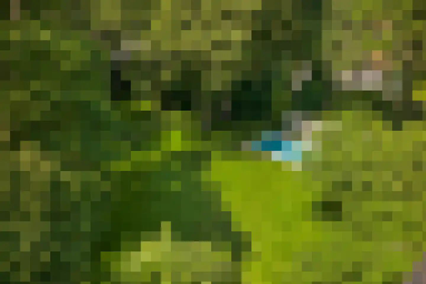 Jagerslaan (zuid) 5 Wassenaar thumbnail 6