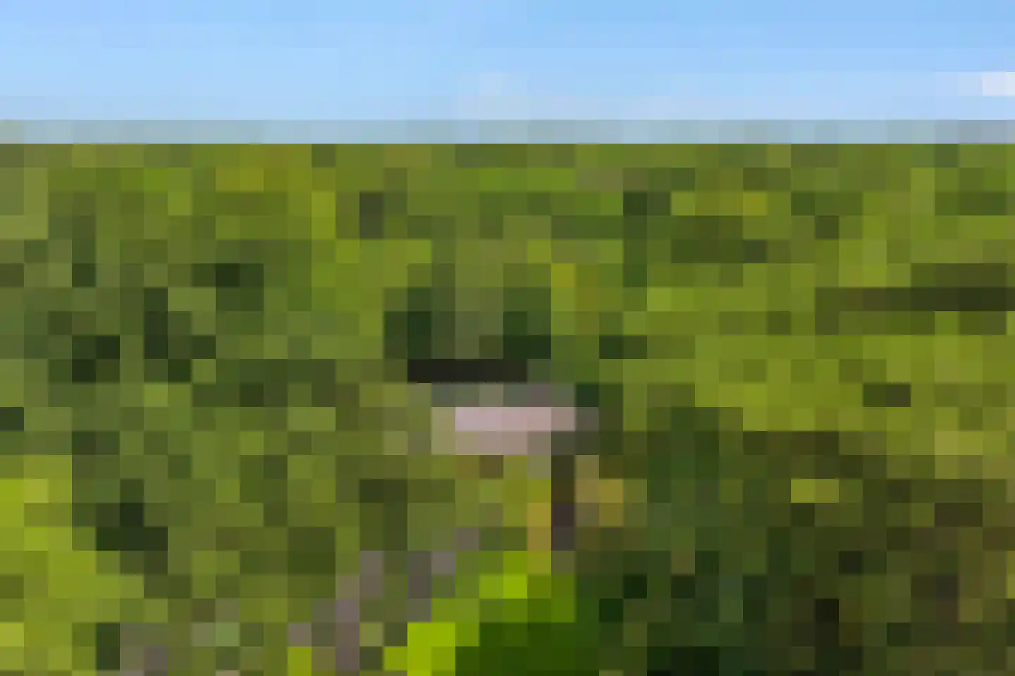 Jagerslaan (zuid) 5 Wassenaar thumbnail 7