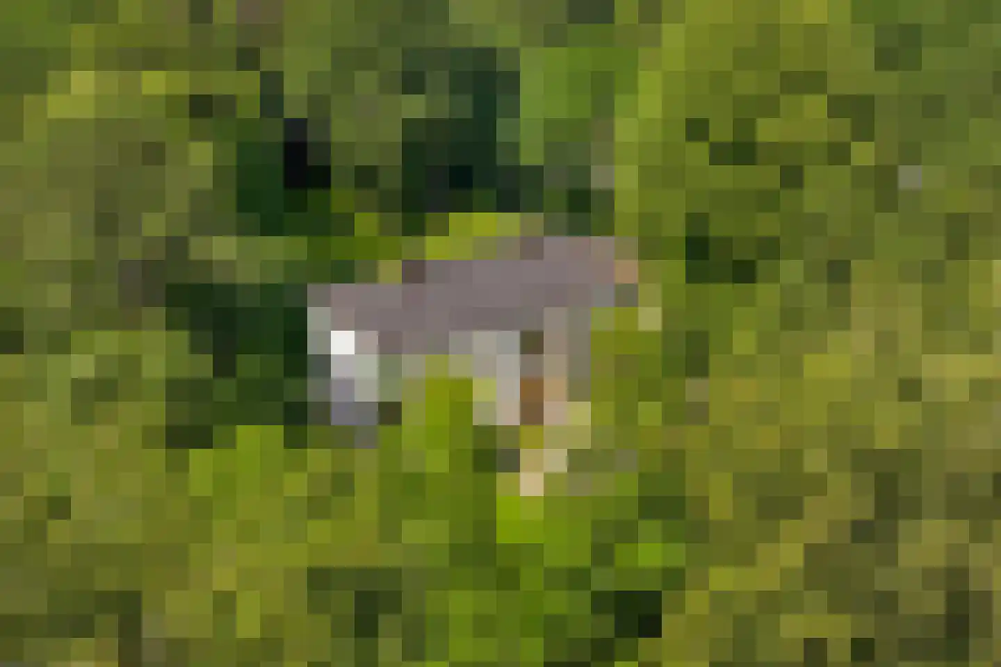 Jagerslaan (zuid) 5 Wassenaar thumbnail 8