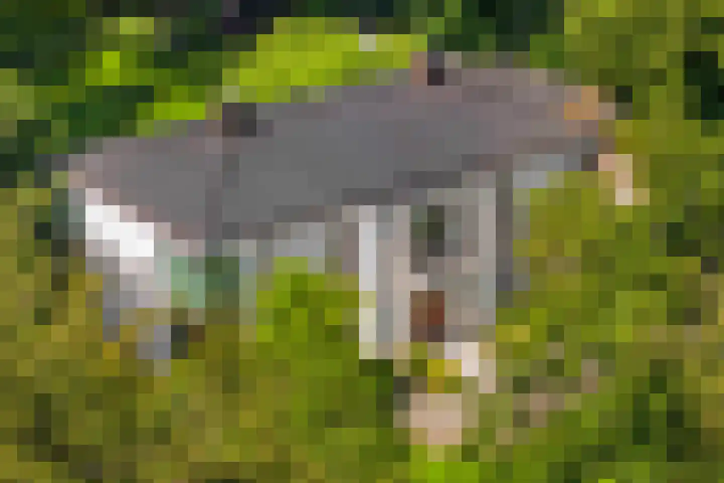 Jagerslaan (zuid) 5 Wassenaar thumbnail 9